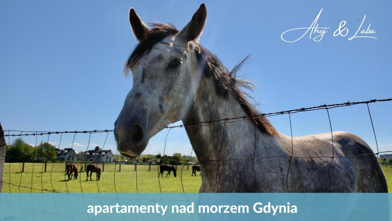 Apartamento Laba - Basen, Blisko Plazy, Cisza, Taras, Parking, Bezplatne Wifi, Wyjatkowy! Gdynia Exterior foto