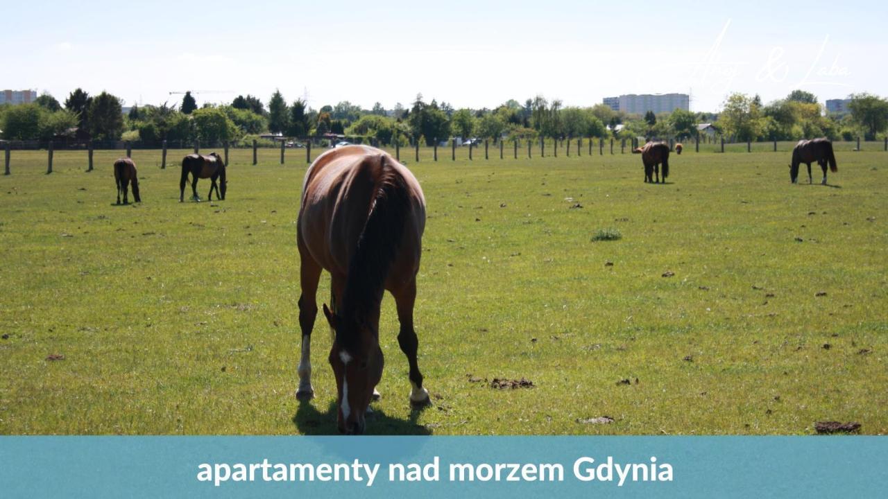 Apartamento Laba - Basen, Blisko Plazy, Cisza, Taras, Parking, Bezplatne Wifi, Wyjatkowy! Gdynia Exterior foto
